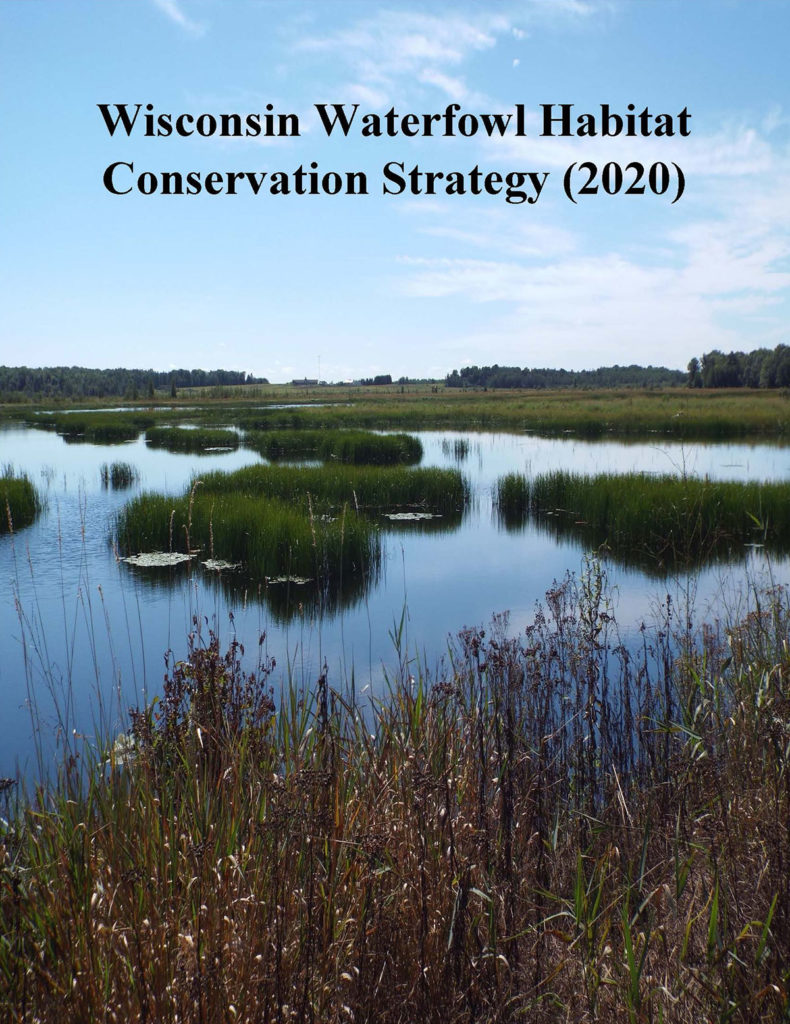 Completion of the Wisconsin Waterfowl Habitat Conservation Strategy