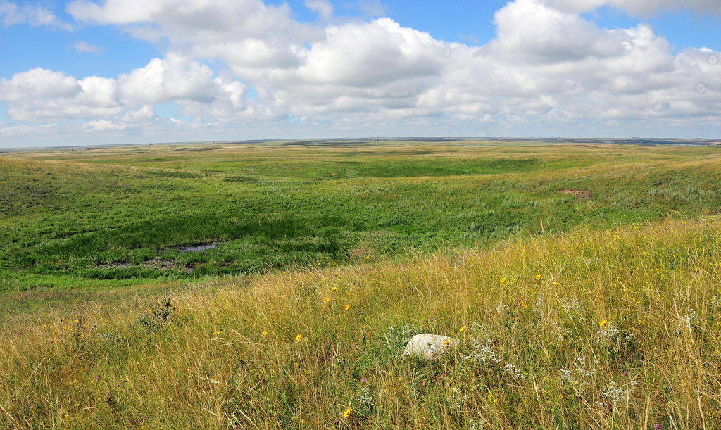 Prairie pothole